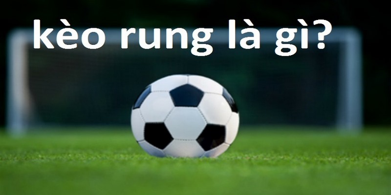Trải nghiệm bảng kèo rung VSBET chân thực